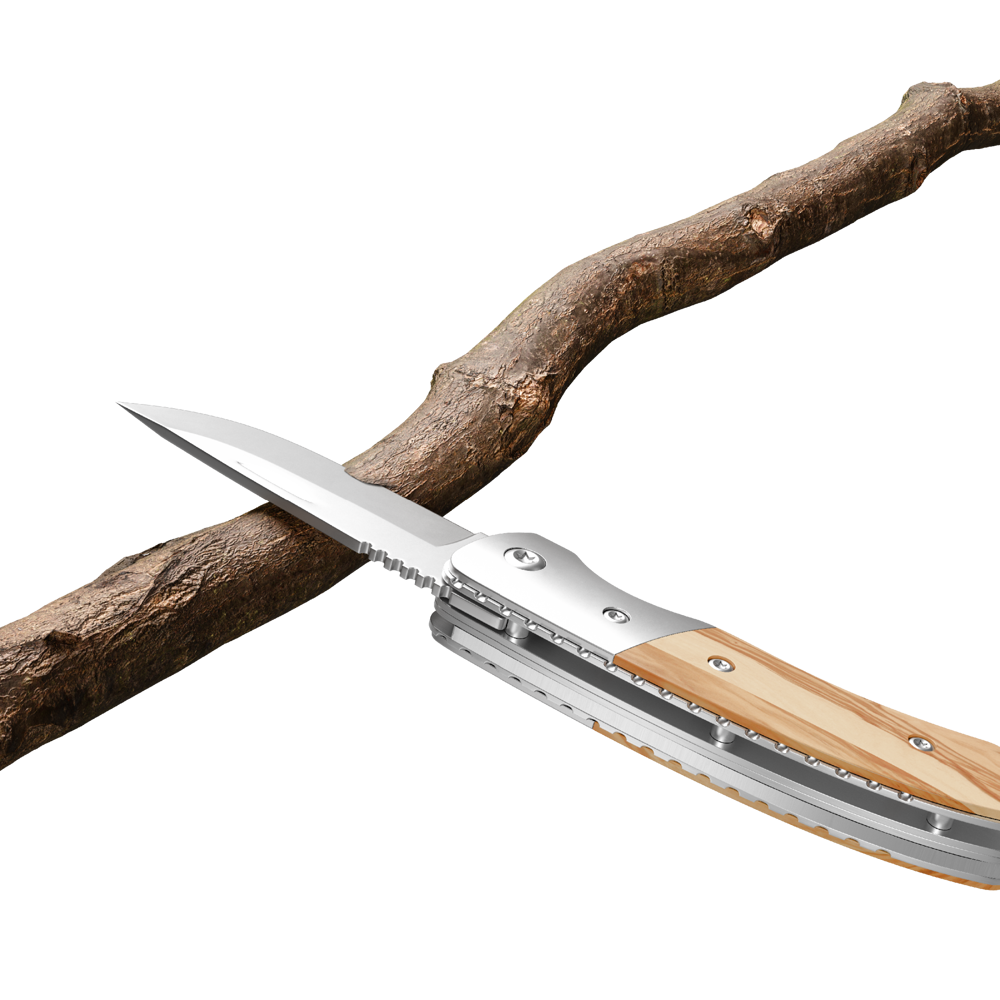 RICHARTZ® LEO picknick olive