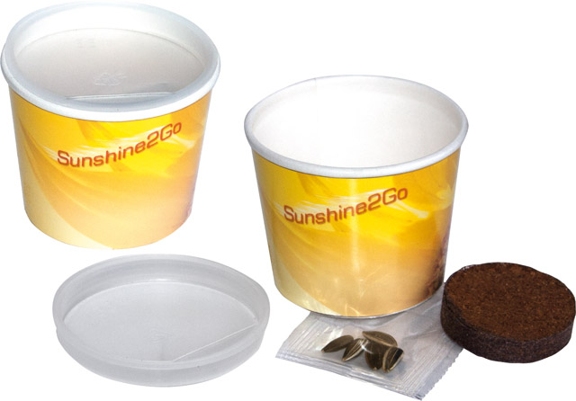 Sunshine 2Go, Zwergsonnenblume, inkl. Digitaldruck 1-4/0 c