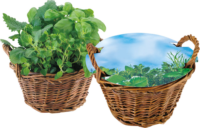 Weiden Körbchen Kräuter, Kräutermischung, inkl. Digitaldruck 1-4/0 c